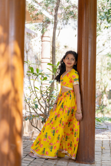 Multi-coloured Printed Lehenga with Cape
