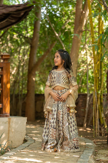 Multi-coloured Printed Lehenga with Cape - 2