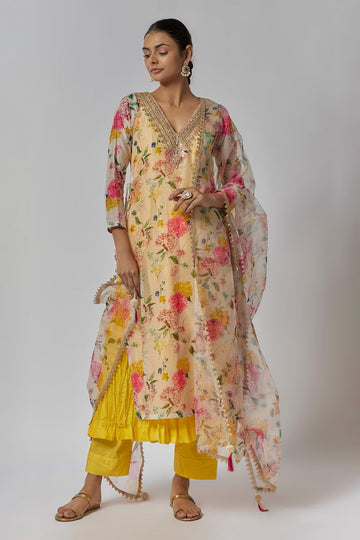 Multi-Colored Chanderi Anarkali Set